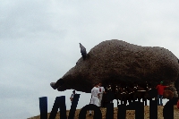 Événement aux pieds de Woinic pour célébrer son 17ème anniversaire