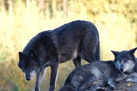 Le Parc Argonne Découverte fête ses 20 ans avec de nombreuses nouveautés