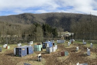 Le parc de loisirs TerrAltitude inaugure ce week-end un parc de jeux destiné aux enfants, le Bois des Nutons