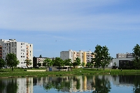 Abattage de sécurité : 13 peupliers abattus autour du Lac de Sedan pour prévenir les risques