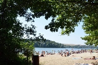 Les points d'eau où se baigner se réduisent comme peau de chagrin dans les Ardennes