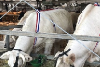 Foire agricole de Sedan : 3 jours pour mettre en avant la ruralité