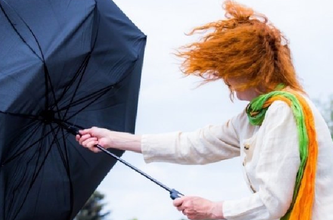 Tempête Benjamin : le département des Ardennes placé en vigilance jaune 