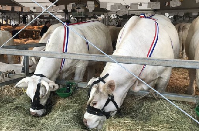 Foire agricole de Sedan : 3 jours pour mettre en avant la ruralité